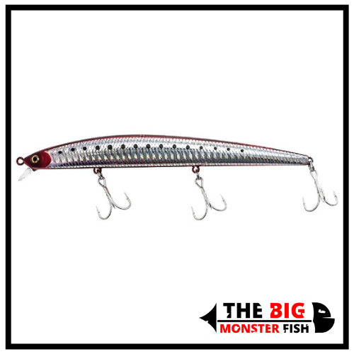 Shore Line Shiner Slender 145 Sinking Daiwa