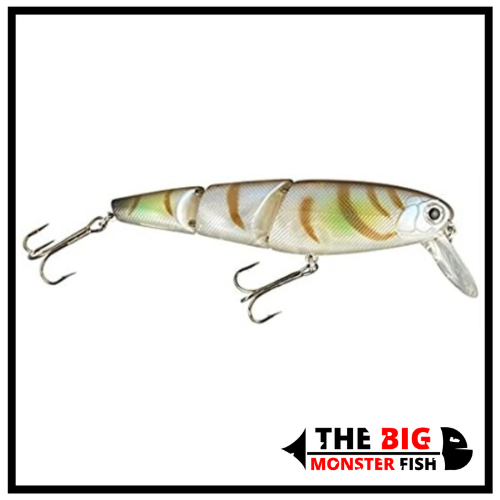 swimbait Spro RT-Snake 95 PowerCatcher Plus