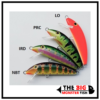 Minnow Classic Affondante 10cm 17gr Real Winner