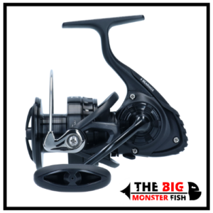 mulinello Daiwa BG Black LT 21