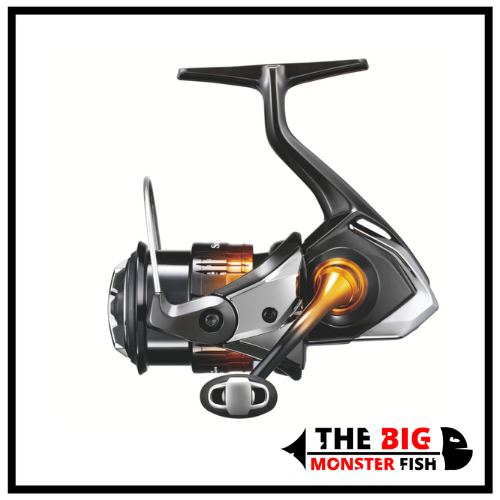 mulinello trout area Soare BB A Shimano