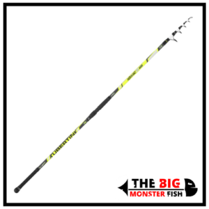 canna da surfcasting Ionic 2 TLS Tubertini